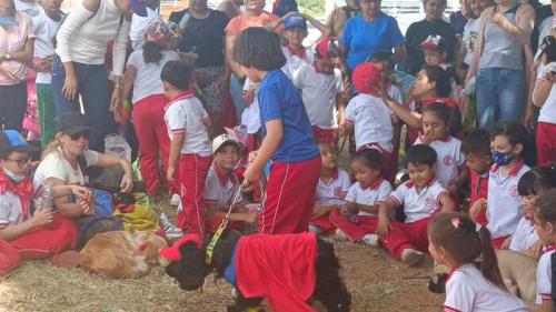 Día De Cometas Y Compartir En Familia 2023